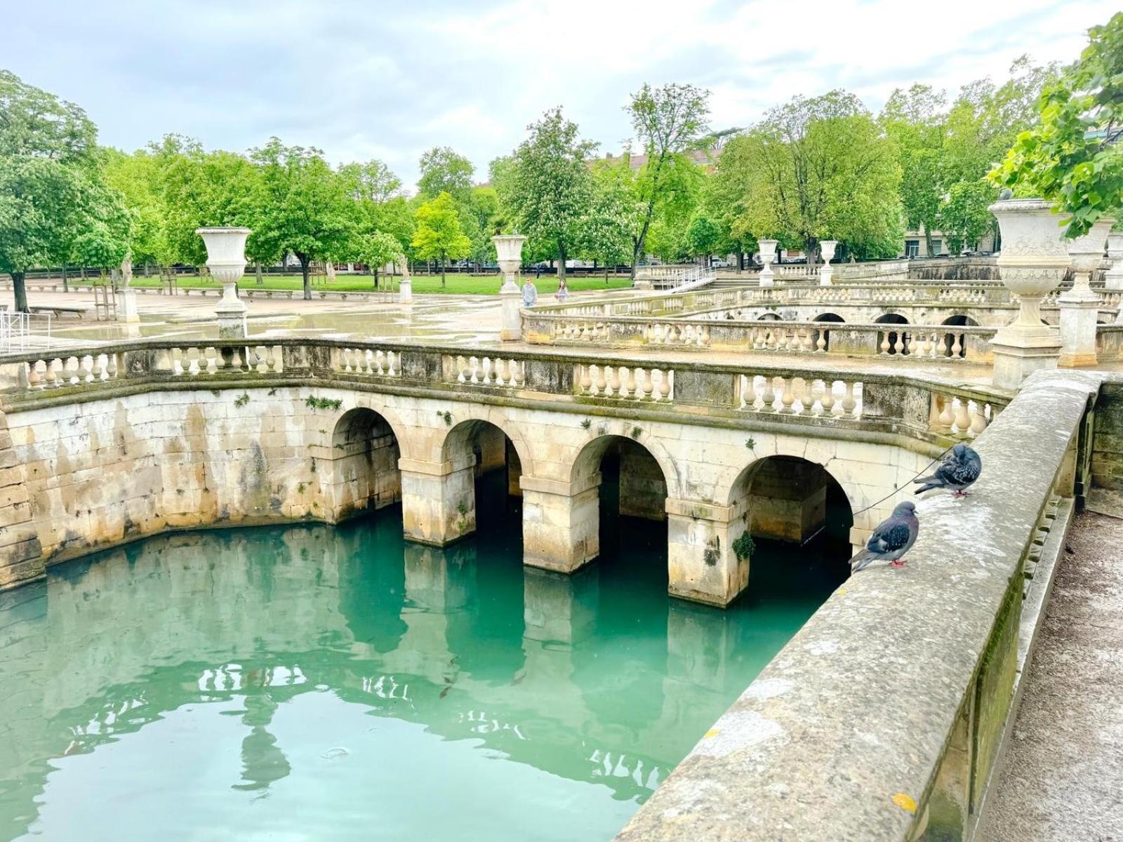 Au Coeur Du Centre Historique - Immeuble Classe - Terrasse - Climatise Nîmes Zewnętrze zdjęcie