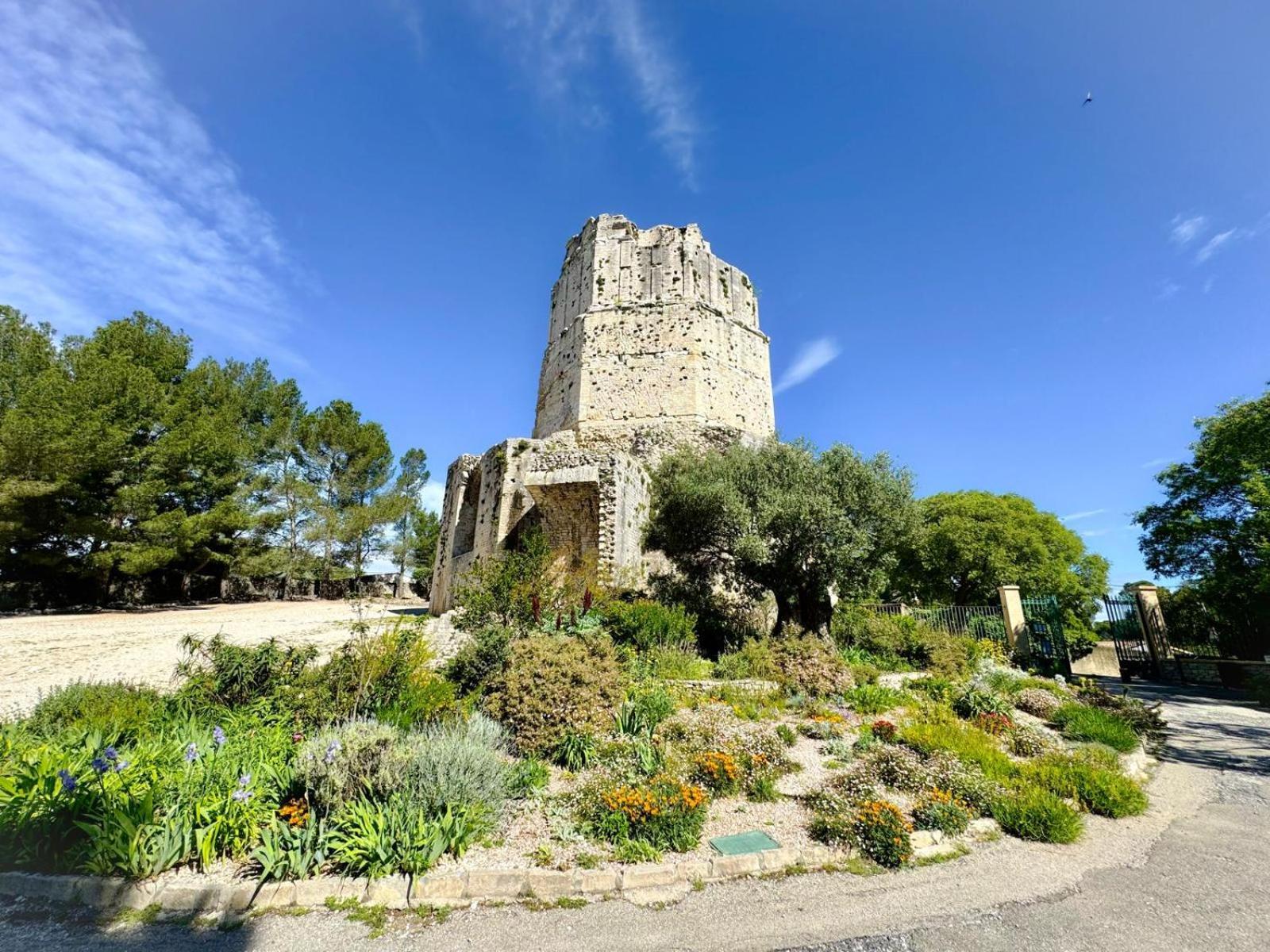 Au Coeur Du Centre Historique - Immeuble Classe - Terrasse - Climatise Nîmes Zewnętrze zdjęcie